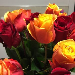 Meet your Posher, Jacki